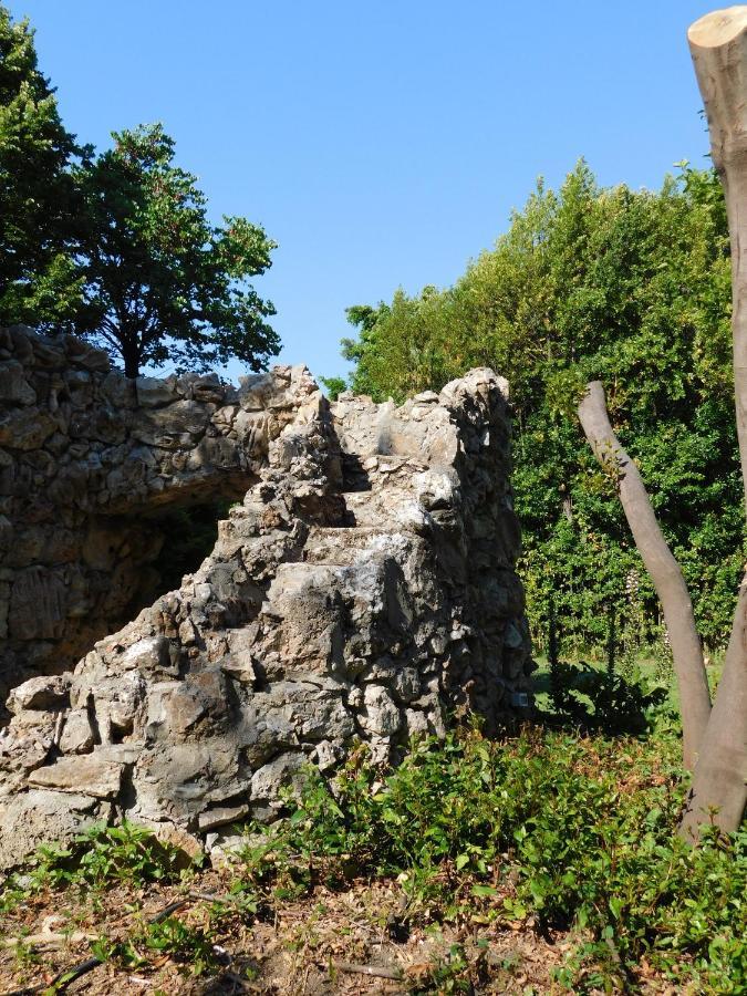 Appartamento Con Piscina Immersa Nel Verde Cascina Eksteriør billede